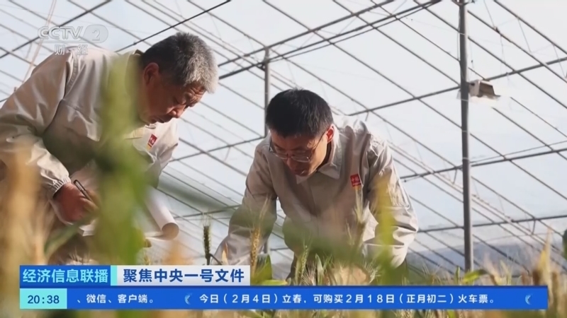 经济信息联播 《经济信息联播》 20260204
