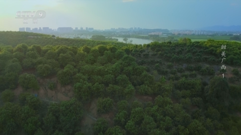 《甜美广西》 第1集 山谷暖风