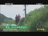 远方的家 《远方的家》 20141206 北纬30°·中国行（8） 磐安：生活在大山里