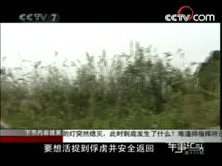 军事纪实 兵临确山 下