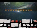 地理中国 《地理中国》 20110616 拯救濒危