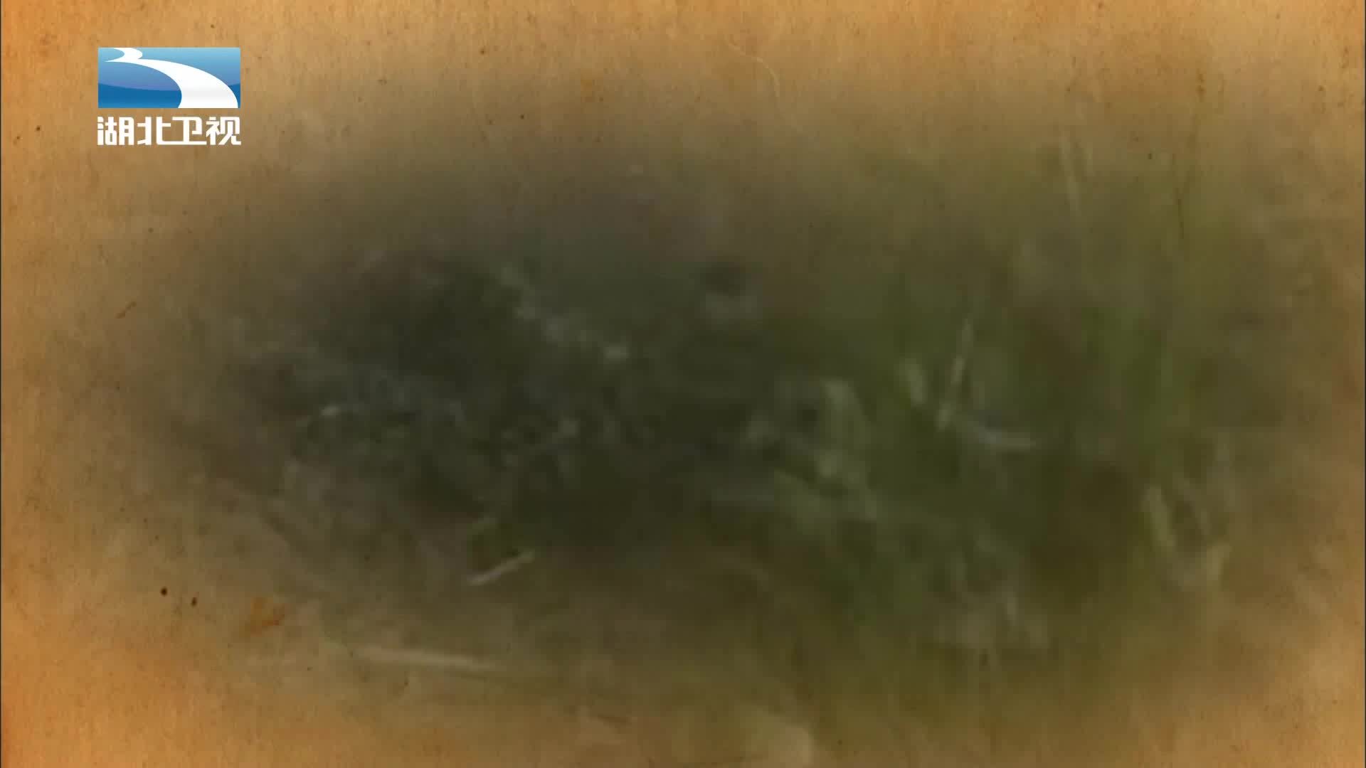 伟大长征 《伟大长征》第4集