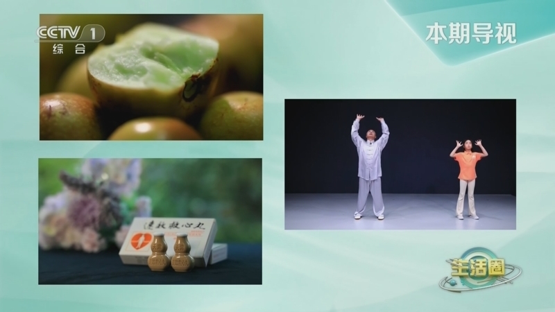 生活圈 《生活圈》 20230803