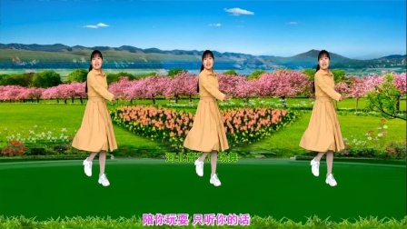 流行DJ广场舞及教学 第三季 活力动感广场舞《小菊花》32步演示分解