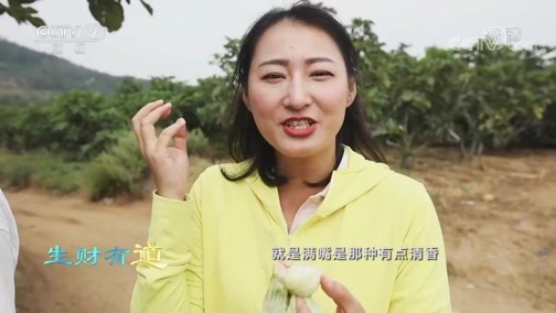 生财有道 《生财有道》 20191021 咱们家乡有特产 山东荣成：无花果生出财富链