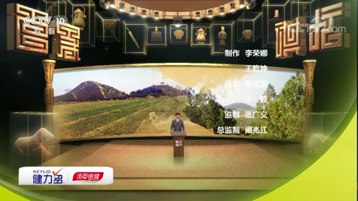 百家讲坛 《百家讲坛》 20190116 镇馆之宝（第三季） 20 寻找石刻主人