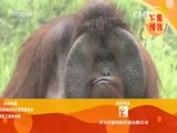 远方的家 《远方的家》 20150811 特别节目——暑假去游学（20）学艺武当山