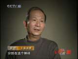 梁柱 古墓惊奇 梁柱 古墓迷雾