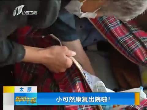 新闻午报-山西 《新闻午报-山西》 20140826