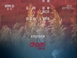 中国财经报道 《中国财经报道》 20171216 五彩收获：新农业 大市场