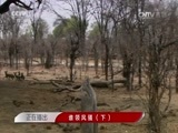 人与自然 《人与自然》 20160925 谁领风骚（下）
