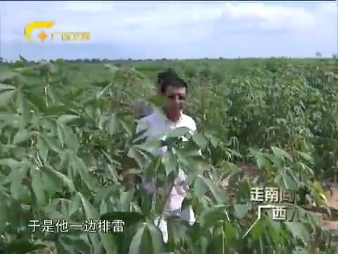 走南闯北广西人 《走南闯北广西人》 20140502 勇闯雷区的汤建湘