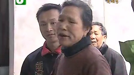 钱塘老娘舅 关于