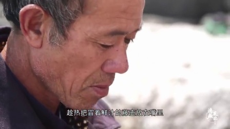 二更视频 大叔冒生命危险在海边找它 卖掉可以赚几十万 年轻人都不愿做 440