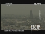 秘境 央视 《秘境》 20130807 《失忆珍宝》 （下）