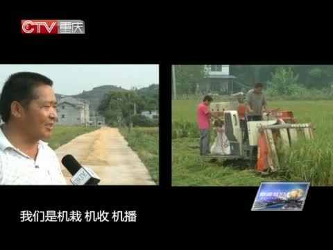 新闻解码 《新闻解码》 20140902 谷收时节