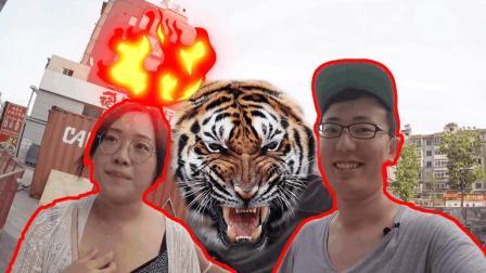 土豪送女朋友孟加拉虎当宠物 女友却不领情 62