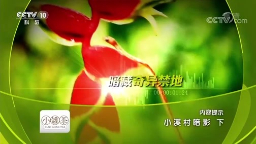 地理中国 《地理中国》 20190122 小溪村暗影（下）