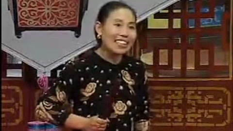 河南坠子《恶媳妇打婆婆》胡银花井照鑫 河南坠子 恶媳妇打婆婆  胡银花 精彩一小段 第四段 井照鑫