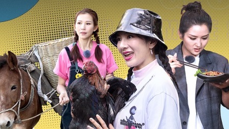 奋斗吧主播 下篇 蔡少芬Hiphop引全场爆笑