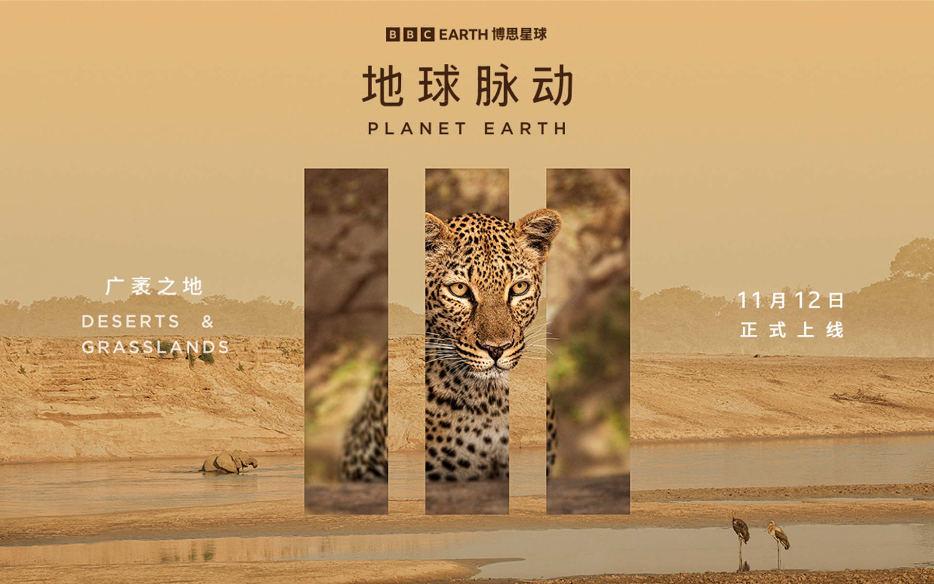 地球脉动 第三季 广袤之地