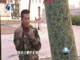 天津新闻 《天津新闻》 20171119