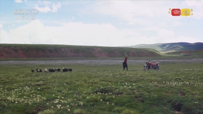 《丰收节的清晨》 20220923 青海