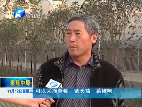聚焦中原 《聚焦中原》 20141112 济源：美丽乡村新名片