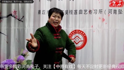 河南坠子《大明奇冤》
