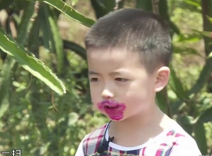 城里男孩下乡记