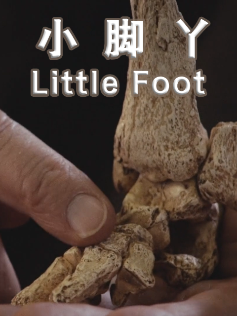 小脚丫 海报