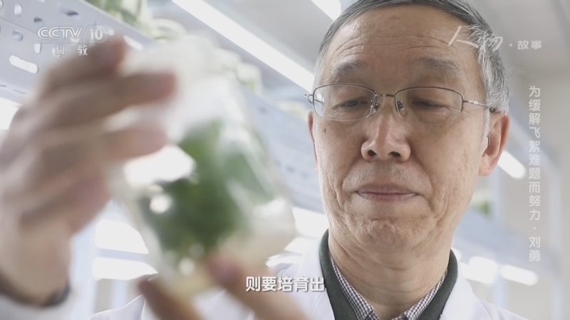 人物&middot;故事 《人物·故事》 20230511 为缓解飞絮难题而努力·刘勇