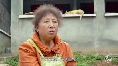二更视频 成都