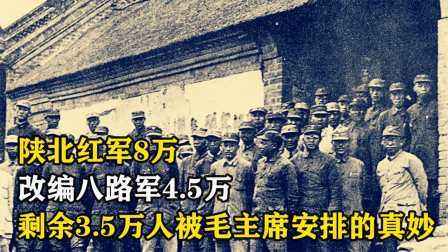 史记文学社第三季 陕北红军8万，改编八路军4.5万，剩3.5万人被主席巧妙安排