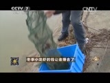 致富经 《致富经》 20150325 冬季小龙虾的钱让谁赚去了