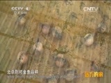 远方的家 《远方的家》 20150309 江河万里行（216）——海河：衡水河畔的灵动