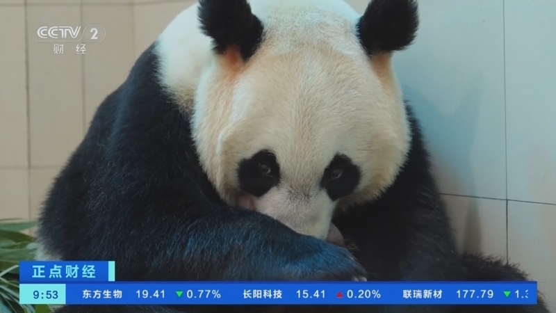 正点财经 《正点财经》 20260611 09:00