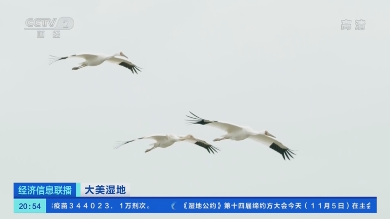 经济信息联播 《经济信息联播》 20221105