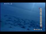 动物世界 动物世界 2010年 第44期