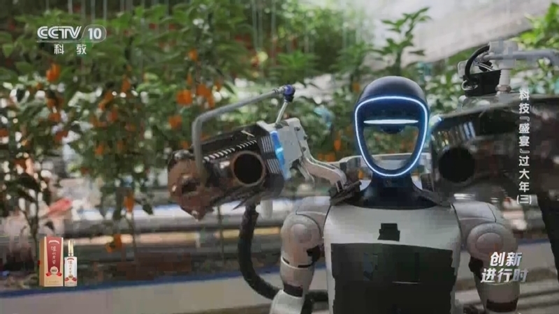 《创新进行时》 20260219 科技“盛宴”过大年（三）