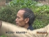 中国财经报道 《中国财经报道》 20140215 《新城记》——市场大驱动