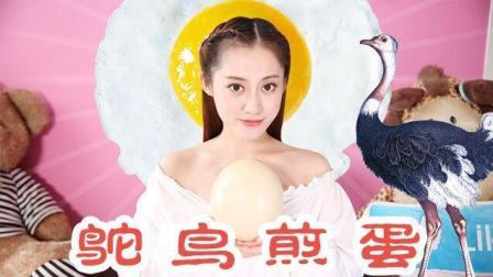 开箱大魔王 第一季 试吃巨型鸵鸟蛋