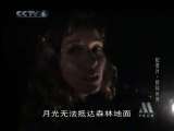 动物世界 动物世界 野林世界（下）