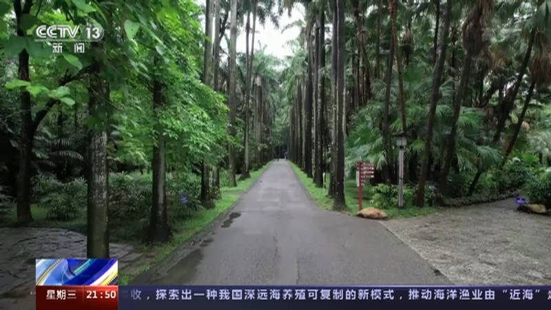 新闻1+1 《新闻1+1》 20220608 国家植物园，一南一北有何不同？