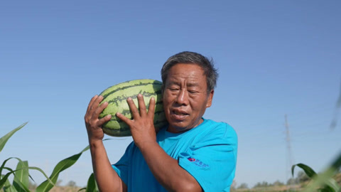 种植前线2025 沙土里的种瓜经 西瓜丰产成为支柱产业
