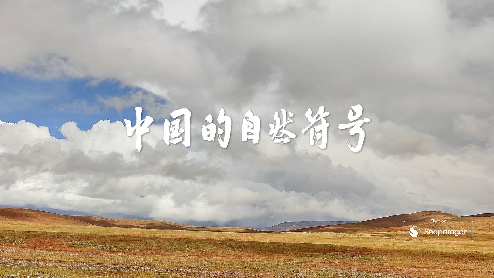 中国的自然符号