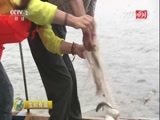 生财有道 《生财有道》 20170929 生态中国系列（沿海行）——大亚湾的沿海财富
