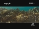佳片有约 《海洋》 2/2