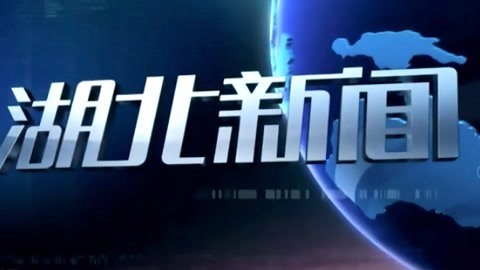 湖北新闻20210603