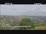 远方的家 百山百川行 第九十二集 平凉 丘陵上的奇迹《远方的家》 20130909